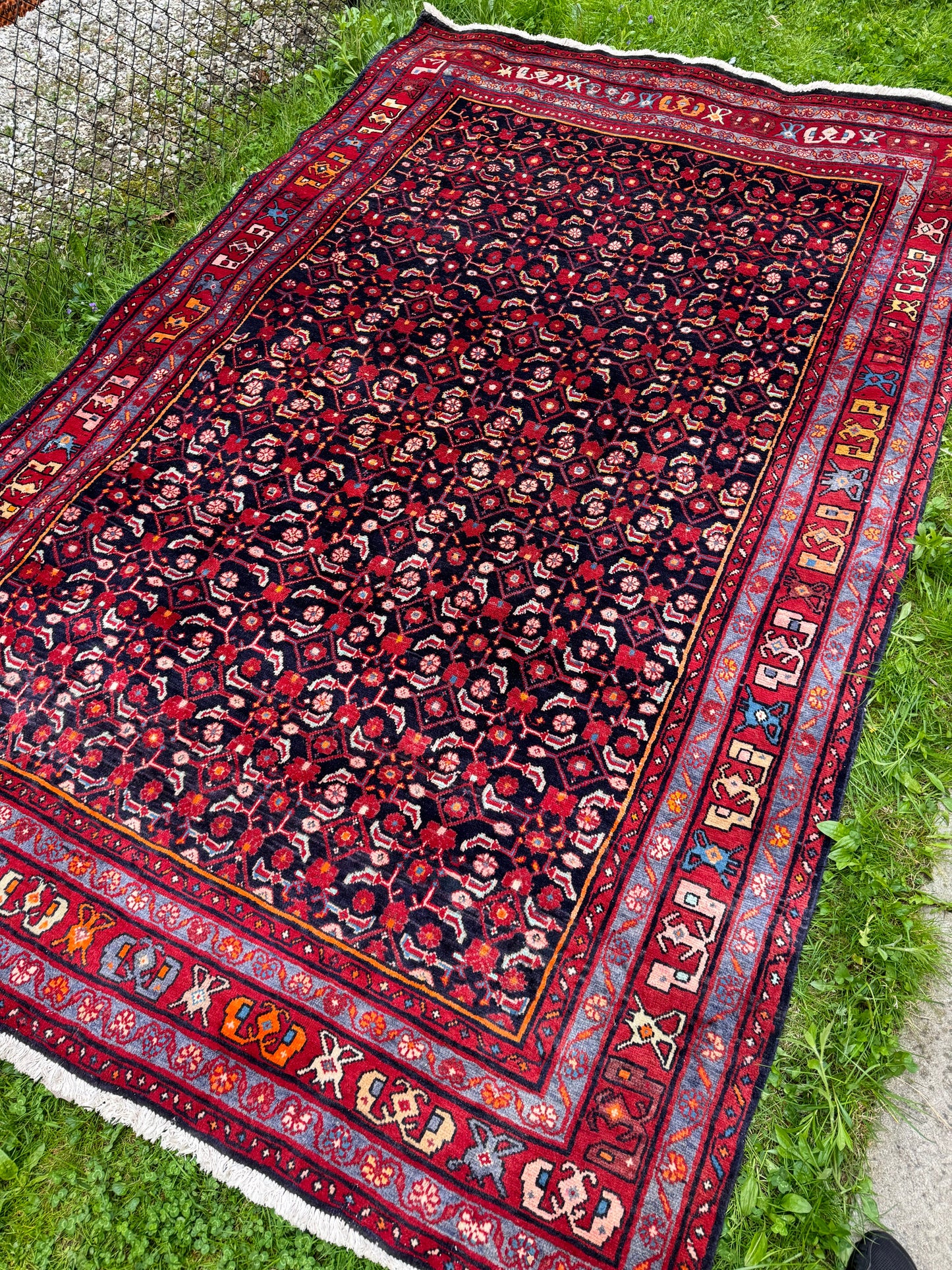 Saba 10’3” x 6’4" ft. Persian rug