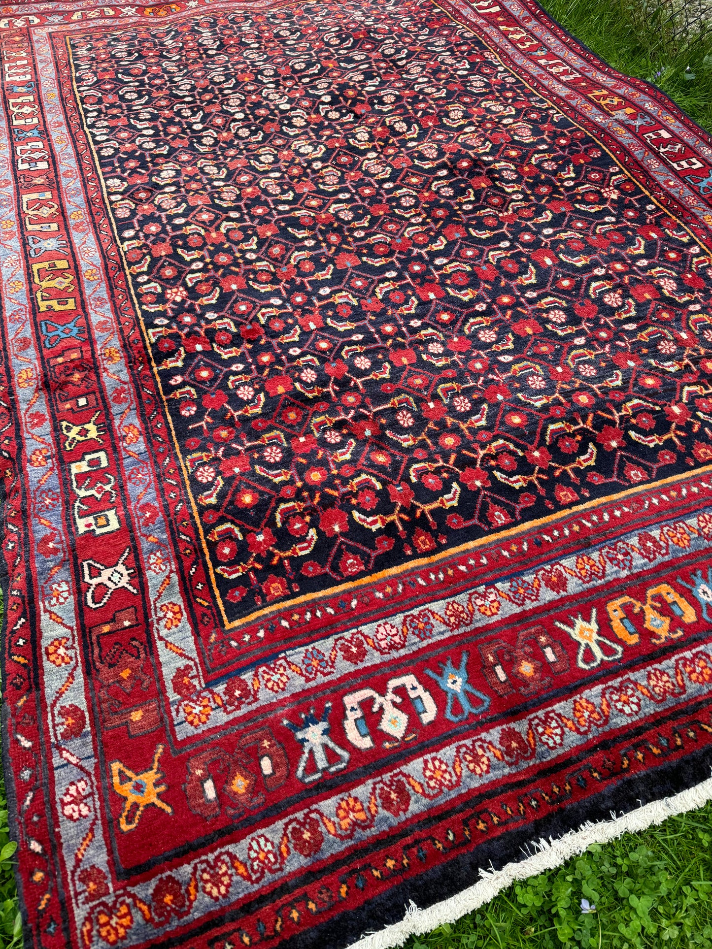 Saba 10’3” x 6’4" ft. Persian rug