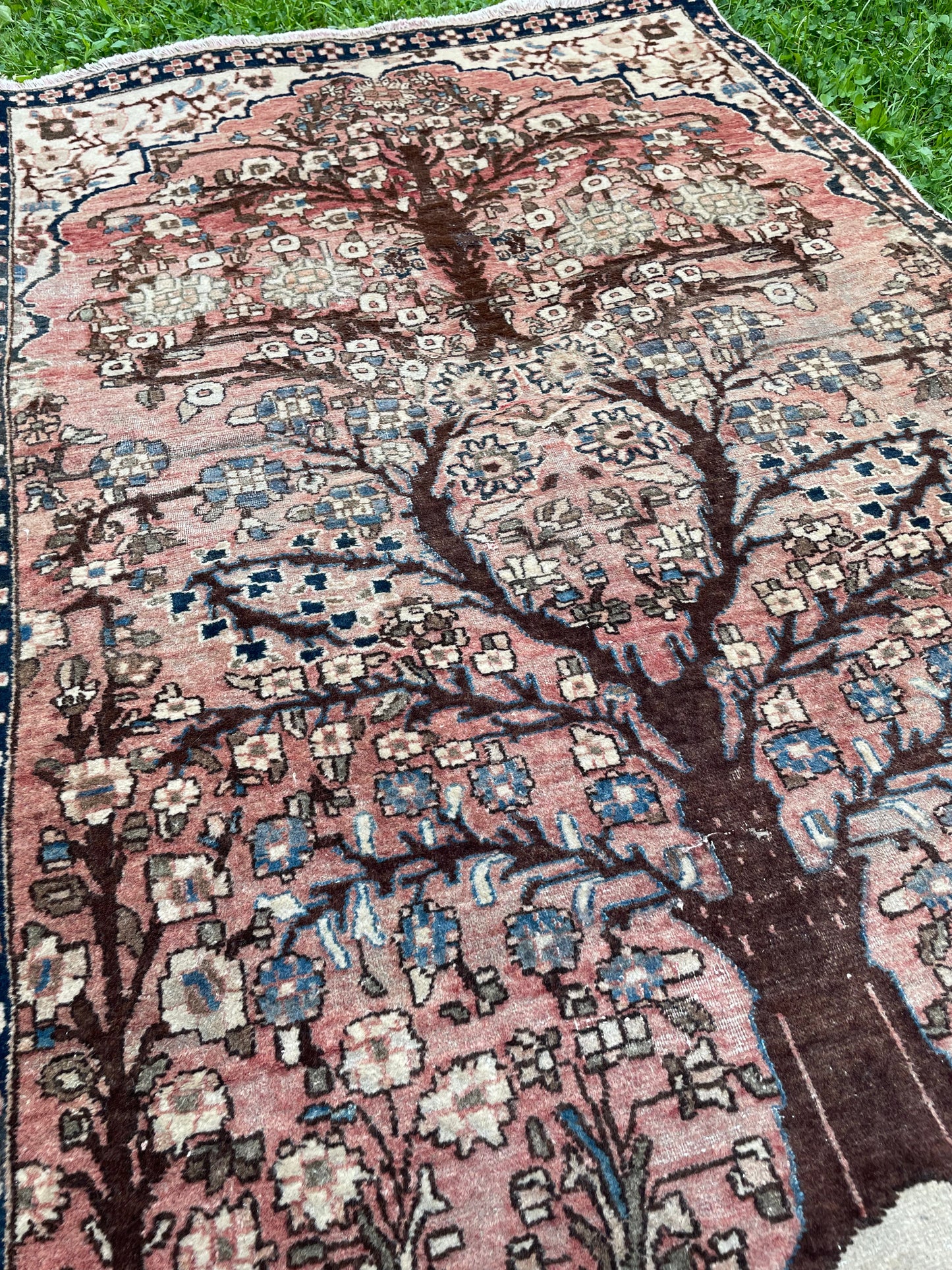Tree of Life 5' 1" by 3' 4"  ft. Vintage Hand-knotted Rug