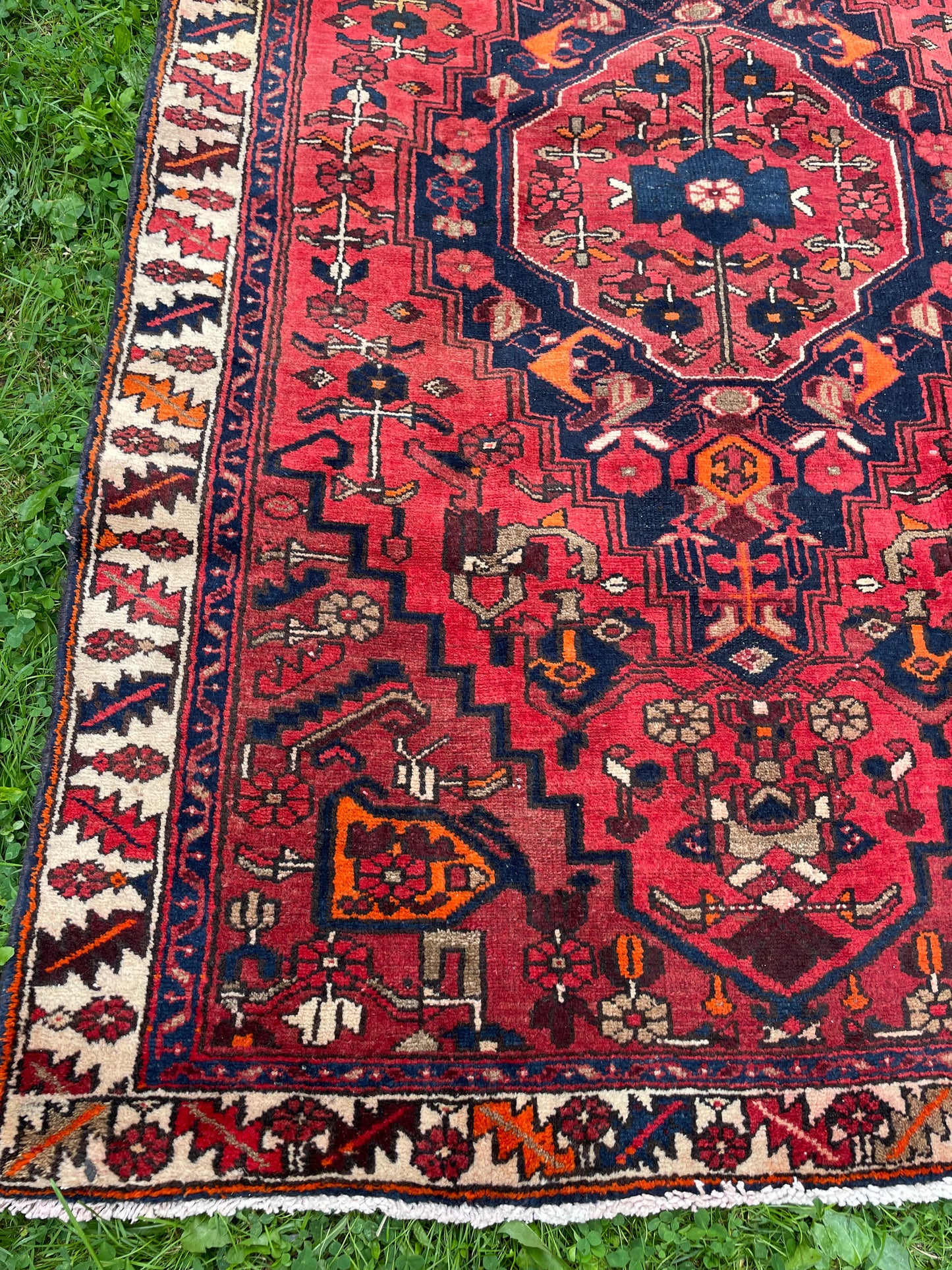 LOUBNA  6’ 4 “ x 3’ 8” ft