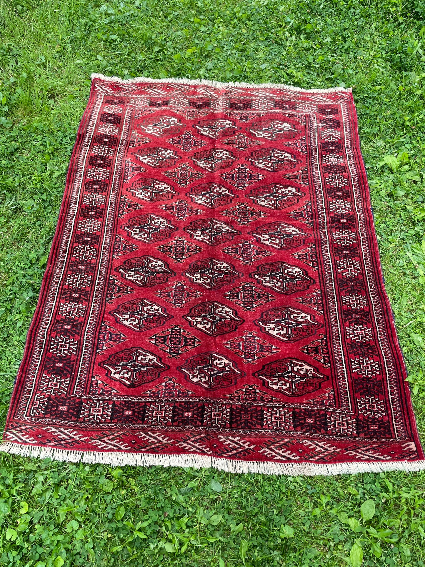 BEHNIA 5' x 3′ 8″ ft.