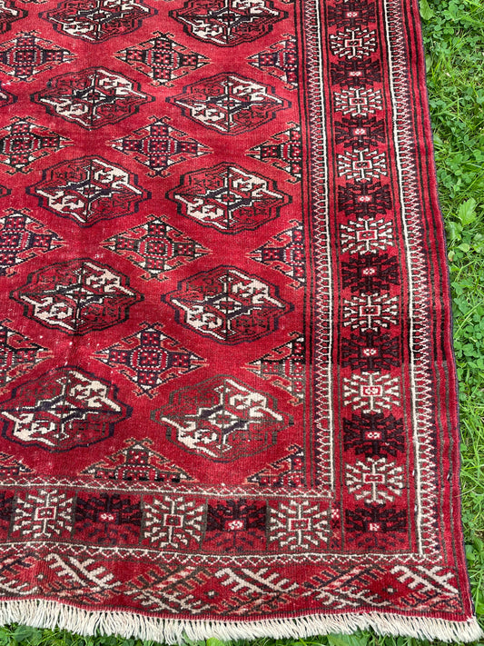 BEHNIA 5' x 3′ 8″ ft.
