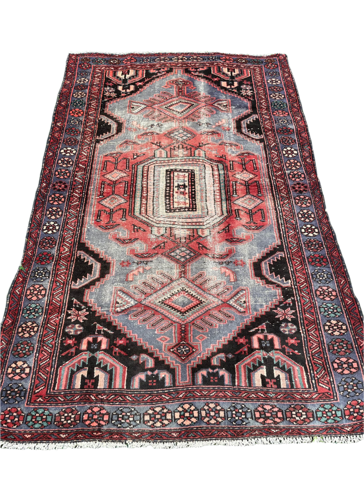 KAMIN 6' 5" x 4' ft, Zanjan rug