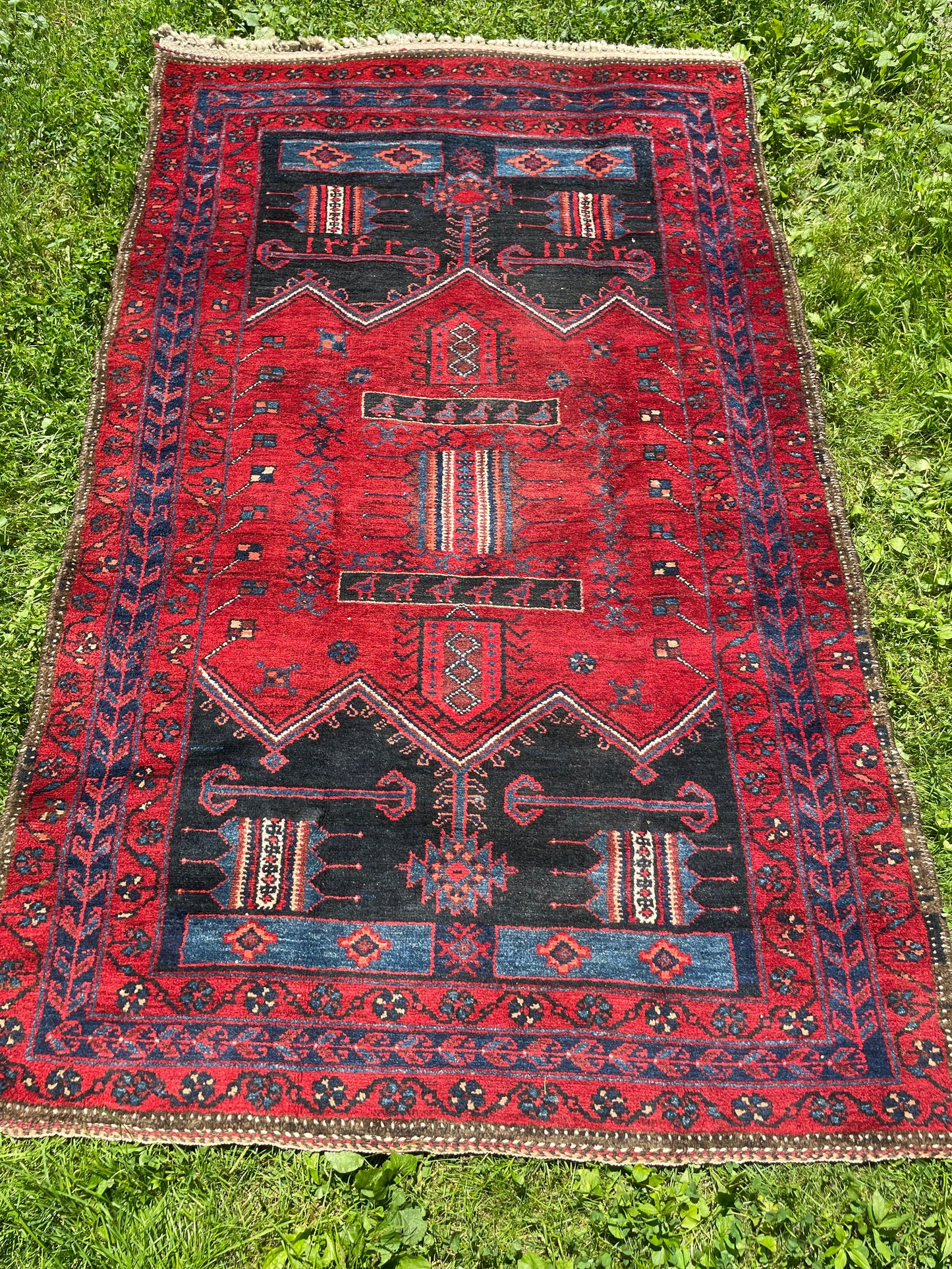 SIAMAK 6' 9”x 4' 3”ft KURDISH tribal rug