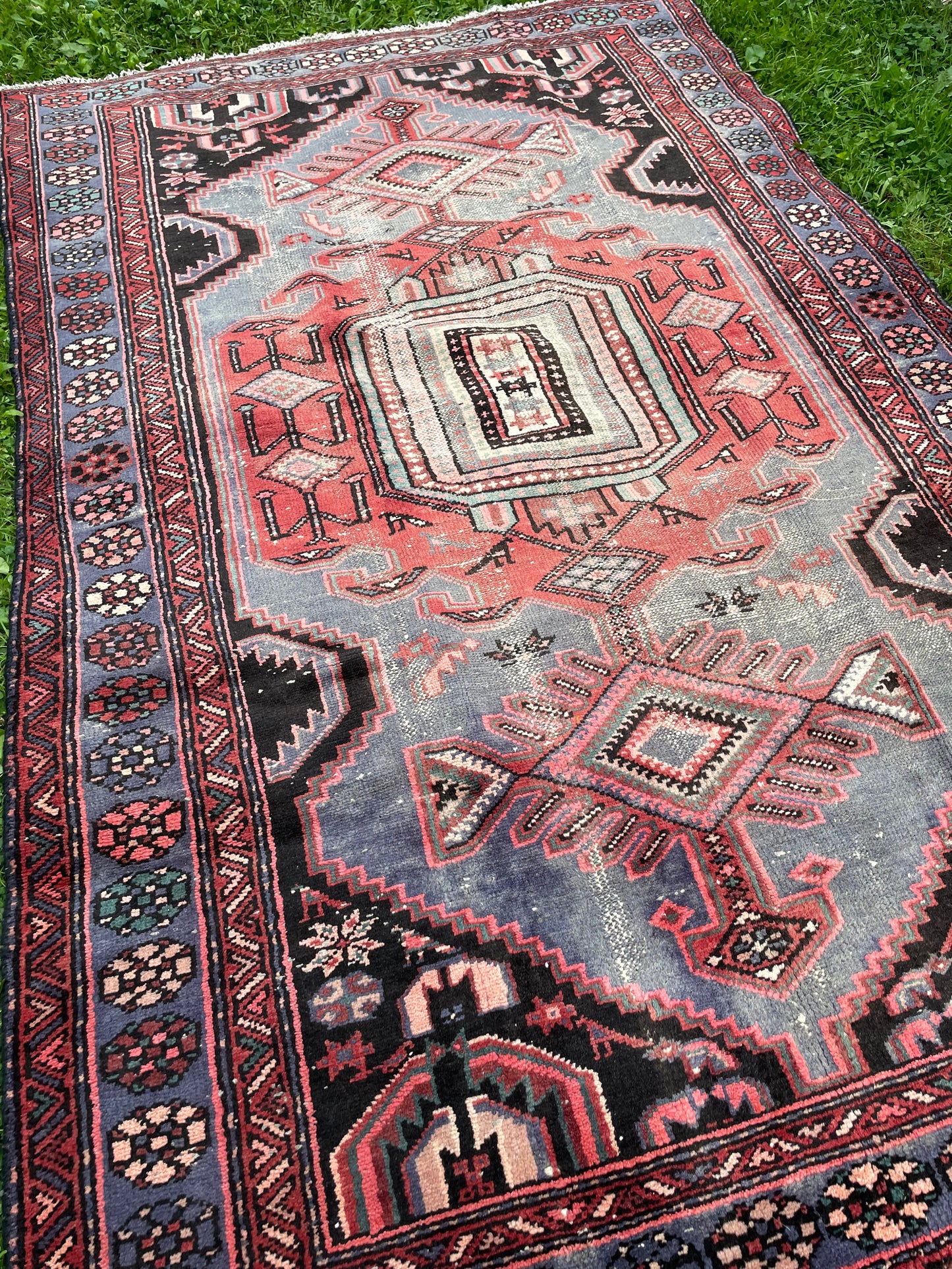 KAMIN 6' 5" x 4' ft, Zanjan rug
