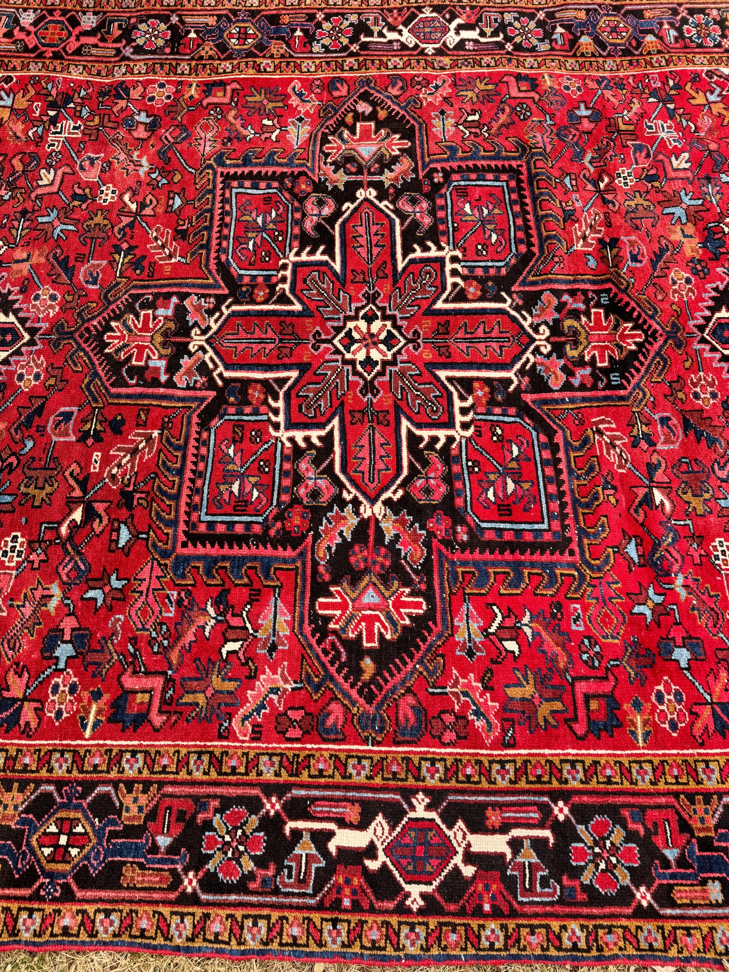 SELENE 11' 2" x 7' 6" Antique Perisan HERIZ rug
