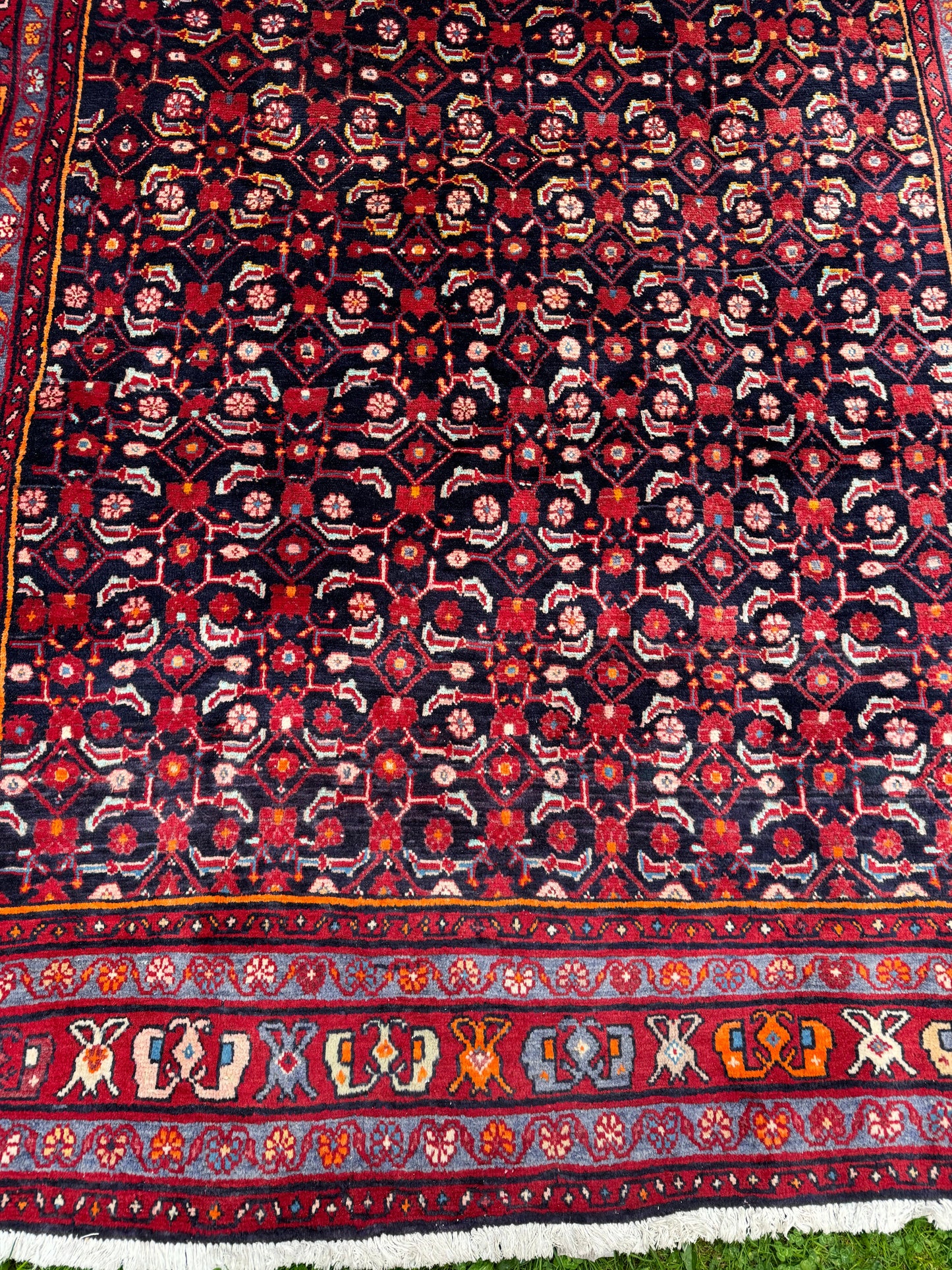 Saba 10’3” x 6’4" ft. Persian rug