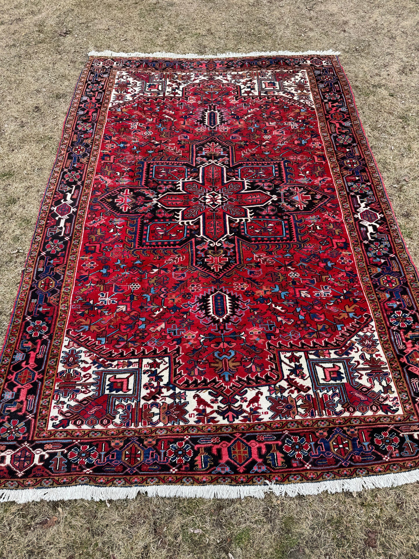 SELENE 11' 2" x 7' 6" Antique Perisan HERIZ rug