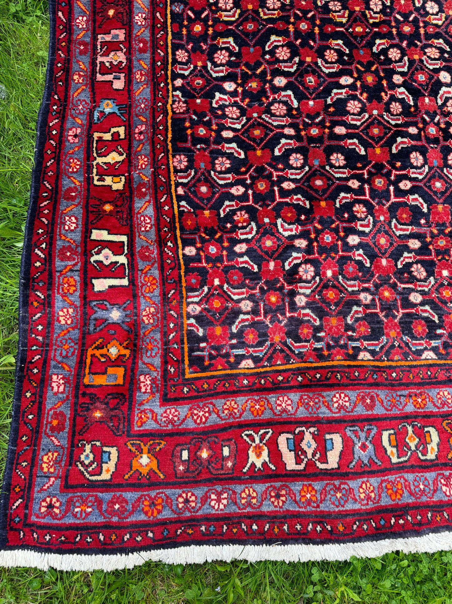 Saba 10’3” x 6’4" ft. Persian rug