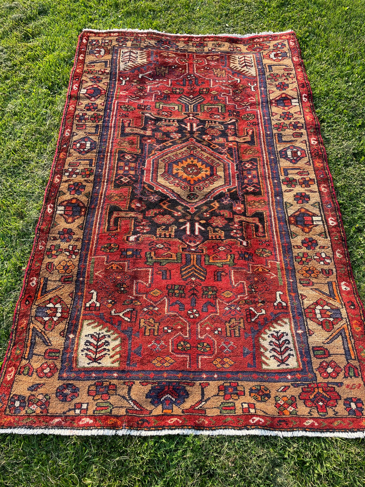 DIAKO 6.1 by 4.3ft