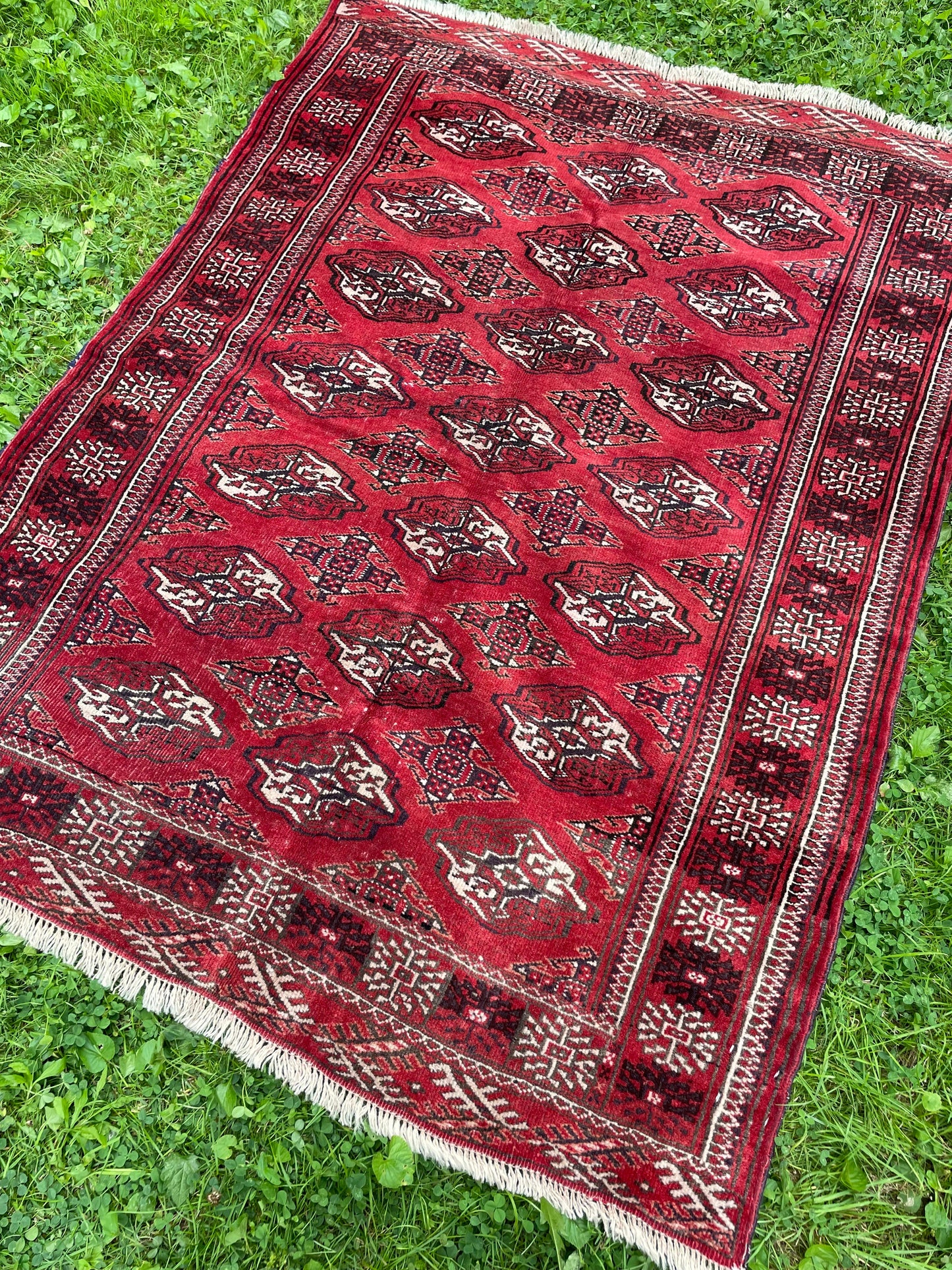 BEHNIA 5' x 3′ 8″ ft.