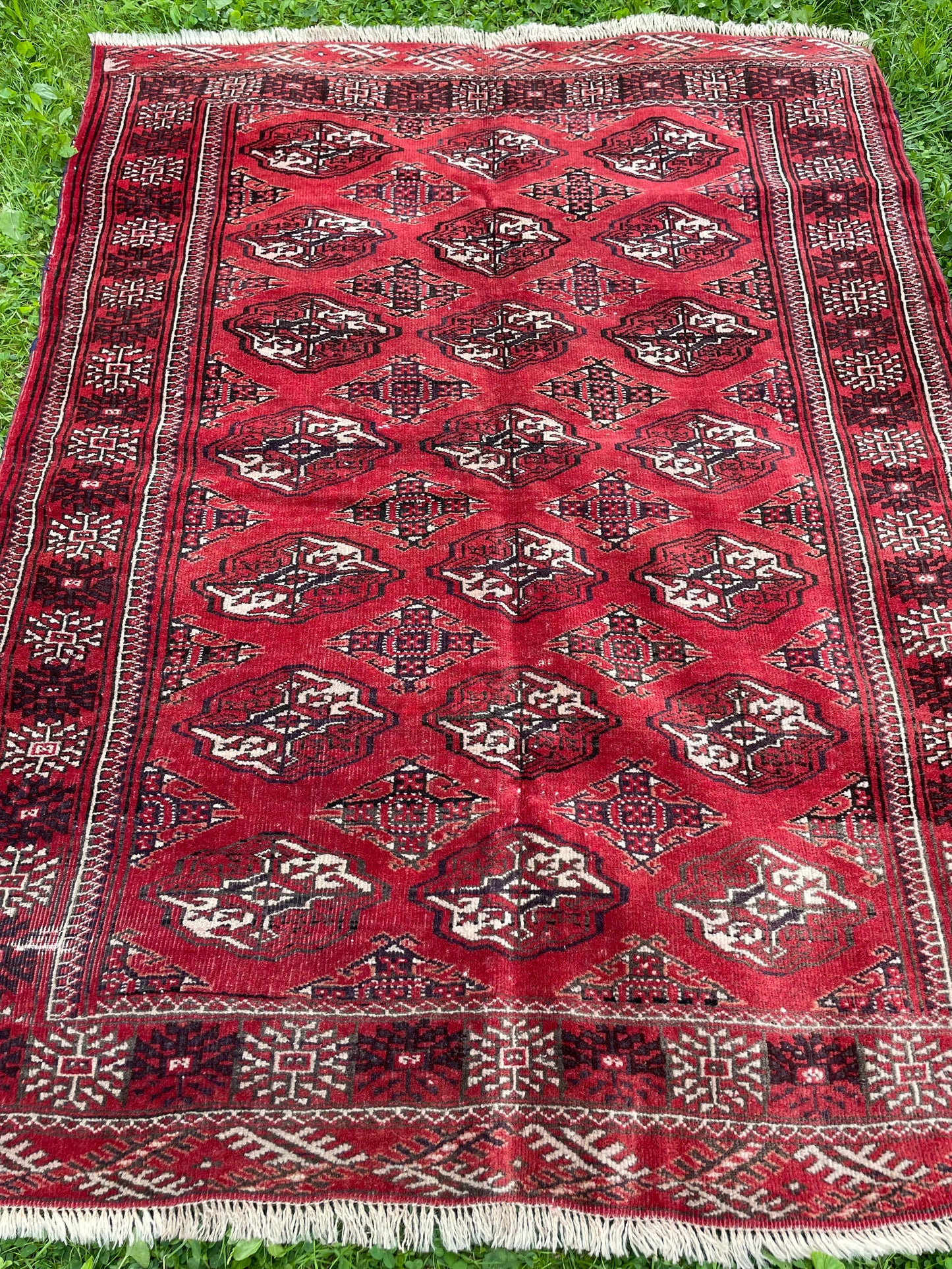BEHNIA 5' x 3′ 8″ ft.